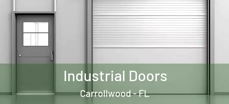  Industrial Doors Carrollwood - FL