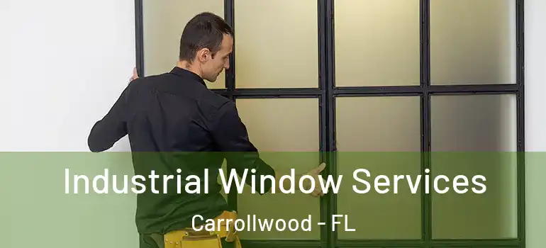  Industrial Window Services Carrollwood - FL