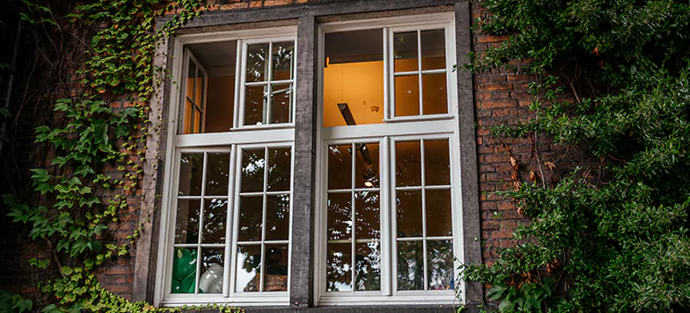 Energy Efficient Wood Windows in Carrollwood, FL