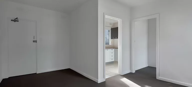 Dark Interior Doors in Carrollwood, FL