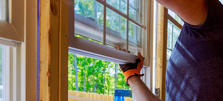 Decorative Window Film Services in Carrollwood, FL