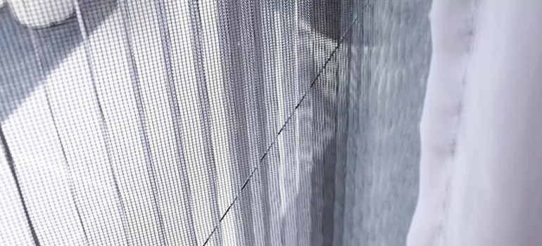 Fixing Screen Window Mesh in Carrollwood, FL