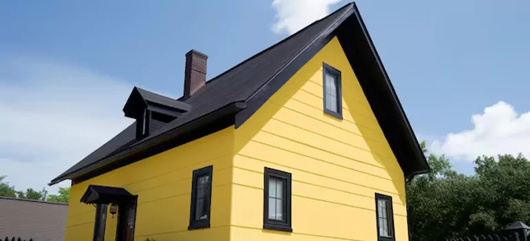 [Custom Black Windows in Carrollwood, FL