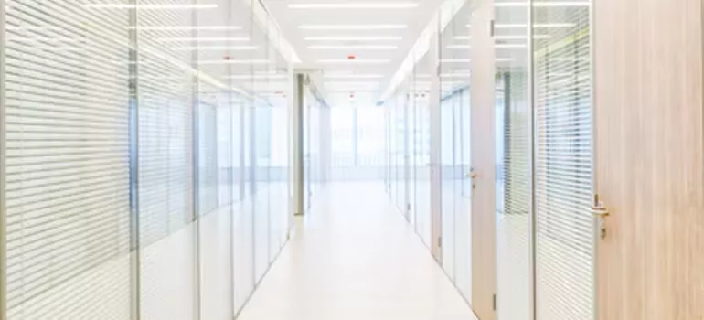 Frosted Glass Windows Replacement in Carrollwood, FL