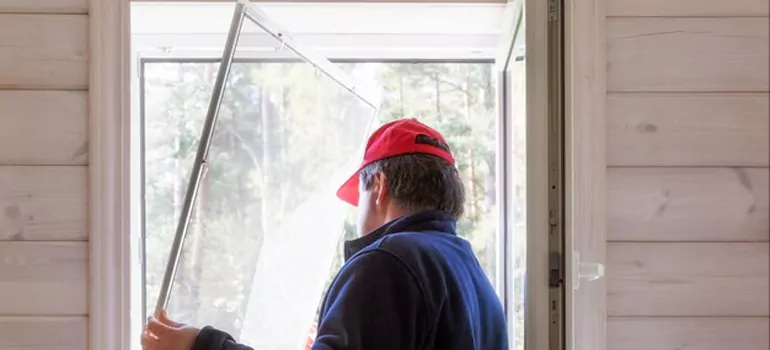 Expandable Window Screen Installation in Carrollwood, FL