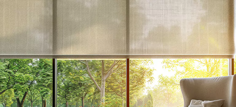 Custom Window Shades in Carrollwood, FL