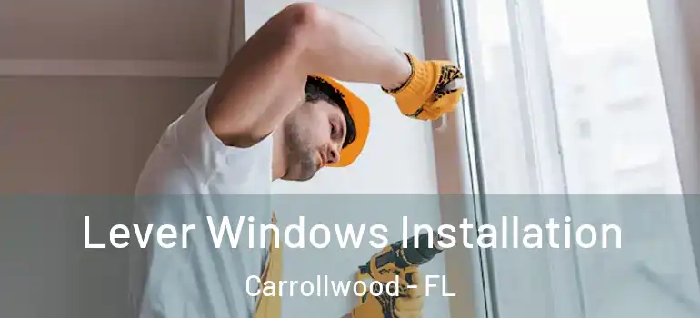 Lever Windows Installation Carrollwood - FL