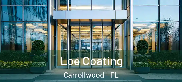  Loe Coating Carrollwood - FL