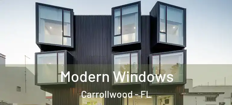  Modern Windows Carrollwood - FL