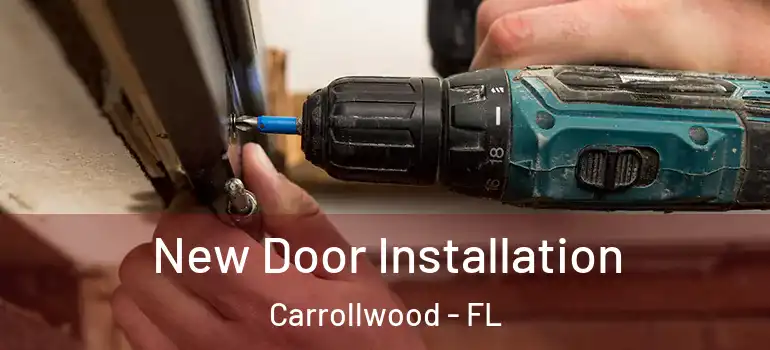  New Door Installation Carrollwood - FL