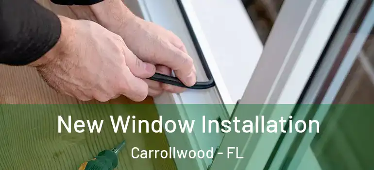  New Window Installation Carrollwood - FL