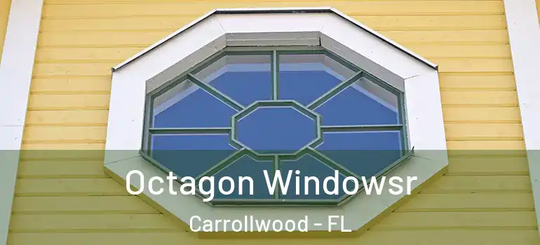  Octagon Windowsr Carrollwood - FL