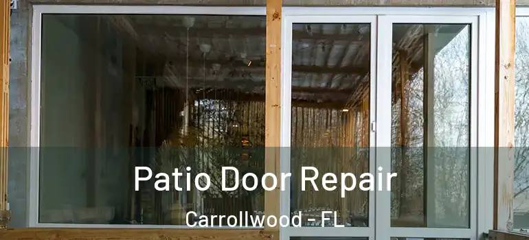  Patio Door Repair Carrollwood - FL