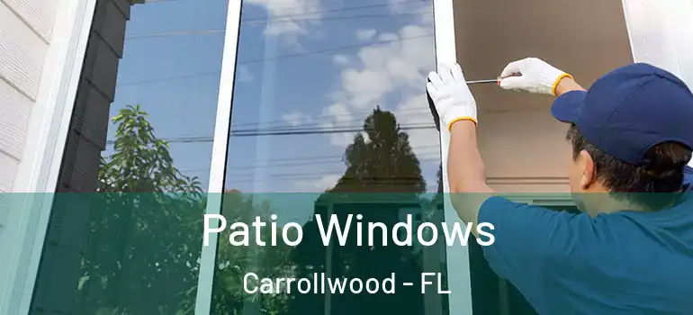  Patio Windows Carrollwood - FL