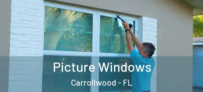  Picture Windows Carrollwood - FL
