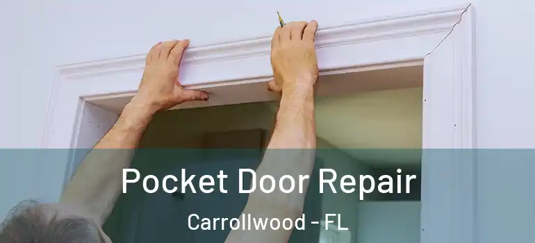  Pocket Door Repair Carrollwood - FL