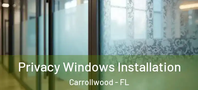  Privacy Windows Installation Carrollwood - FL