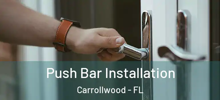  Push Bar Installation Carrollwood - FL
