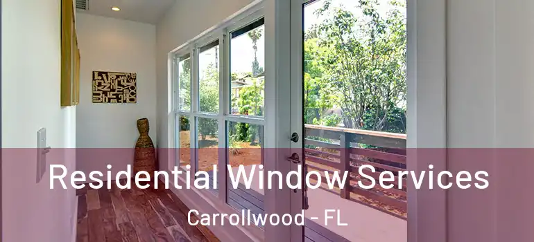  Residential Window Services Carrollwood - FL