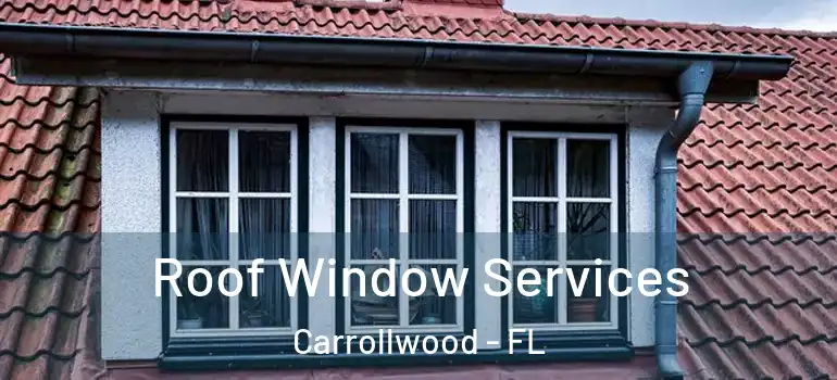  Roof Window Services Carrollwood - FL