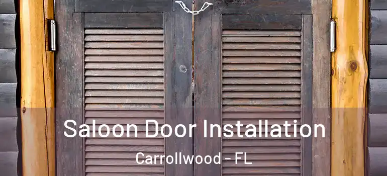  Saloon Door Installation Carrollwood - FL