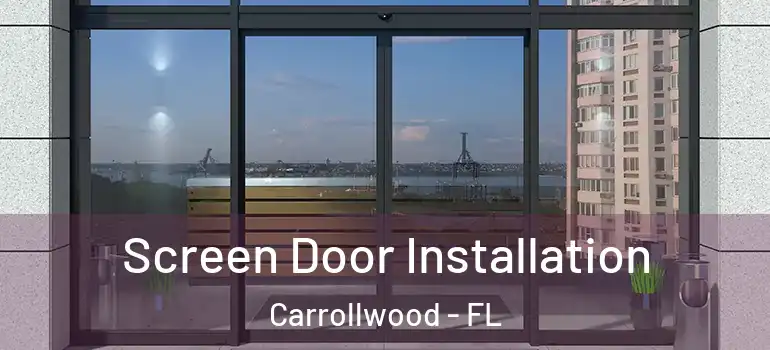  Screen Door Installation Carrollwood - FL
