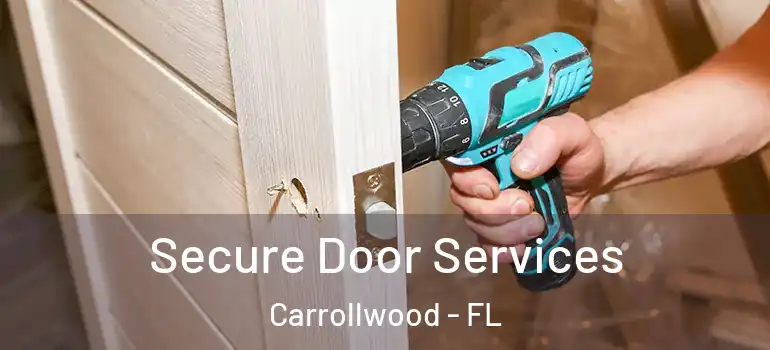  Secure Door Services Carrollwood - FL