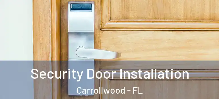  Security Door Installation Carrollwood - FL