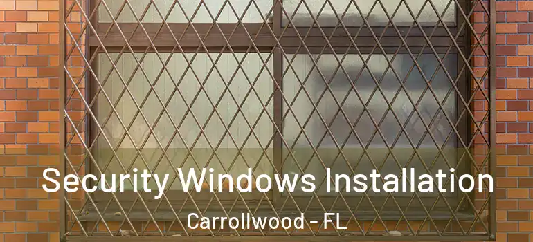  Security Windows Installation Carrollwood - FL