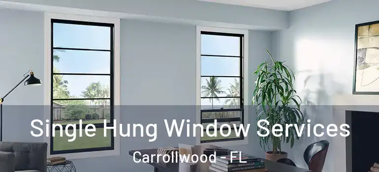  Single Hung Window Services Carrollwood - FL