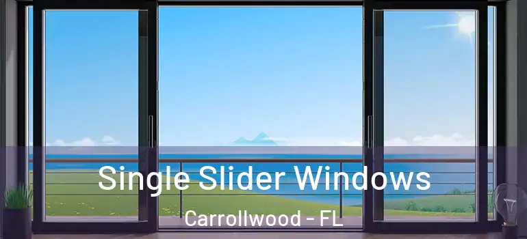  Single Slider Windows Carrollwood - FL