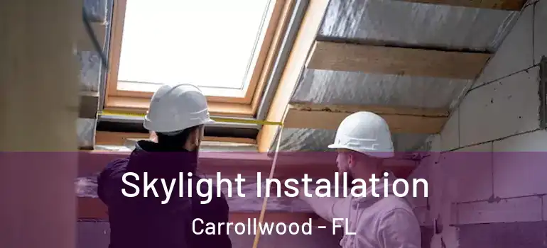  Skylight Installation Carrollwood - FL