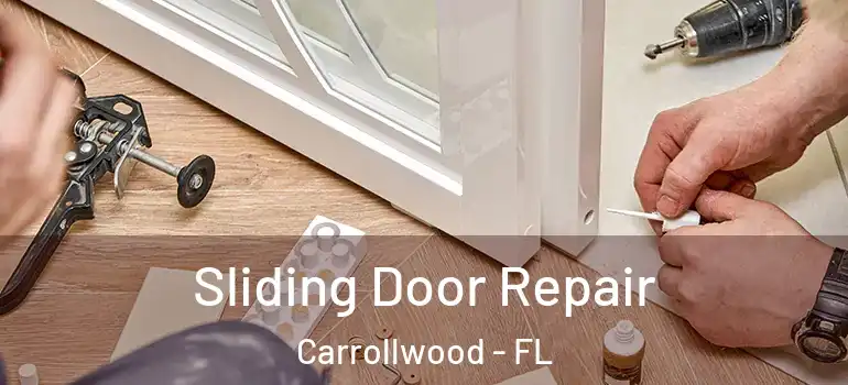  Sliding Door Repair Carrollwood - FL