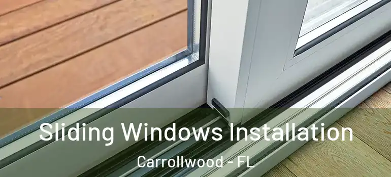  Sliding Windows Installation Carrollwood - FL