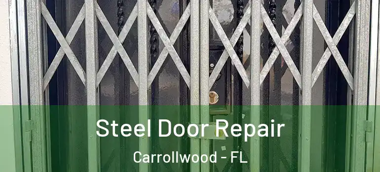  Steel Door Repair Carrollwood - FL