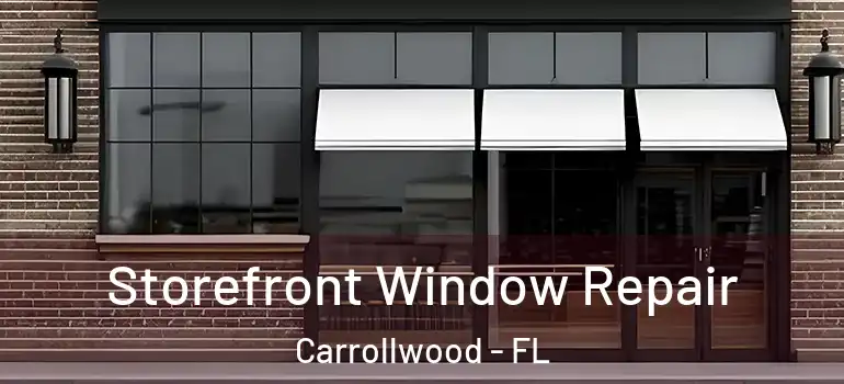  Storefront Window Repair Carrollwood - FL