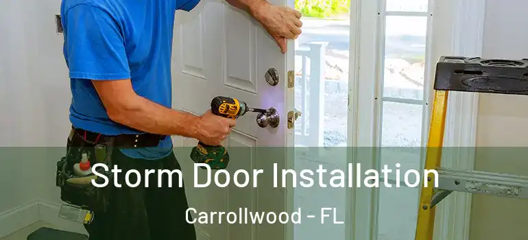  Storm Door Installation Carrollwood - FL