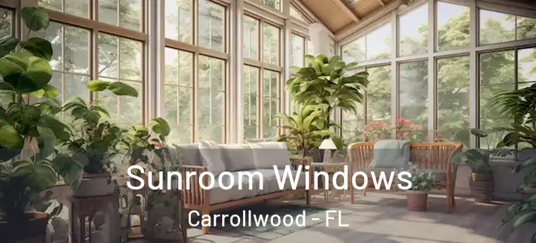  Sunroom Windows Carrollwood - FL