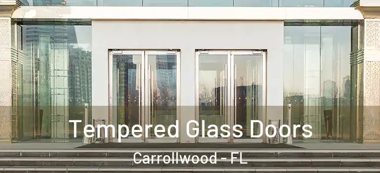  Tempered Glass Doors Carrollwood - FL