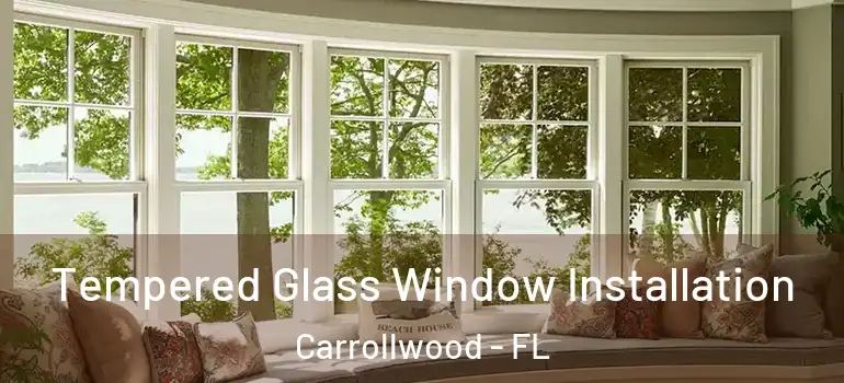  Tempered Glass Window Installation Carrollwood - FL