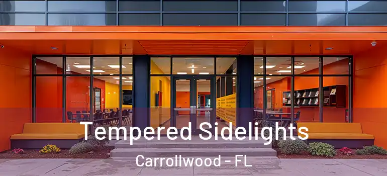  Tempered Sidelights Carrollwood - FL