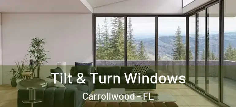  Tilt & Turn Windows Carrollwood - FL