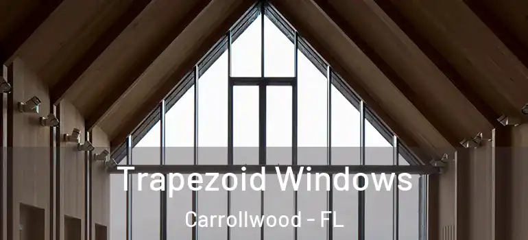  Trapezoid Windows Carrollwood - FL