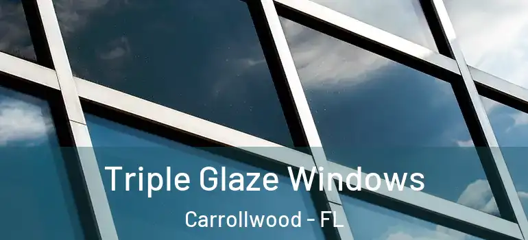  Triple Glaze Windows Carrollwood - FL