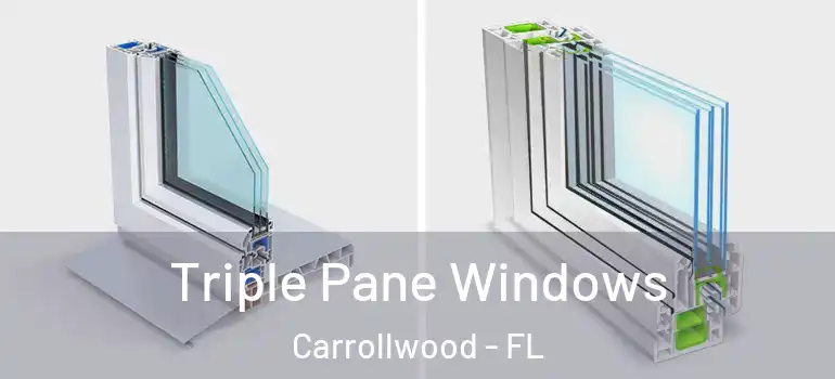  Triple Pane Windows Carrollwood - FL