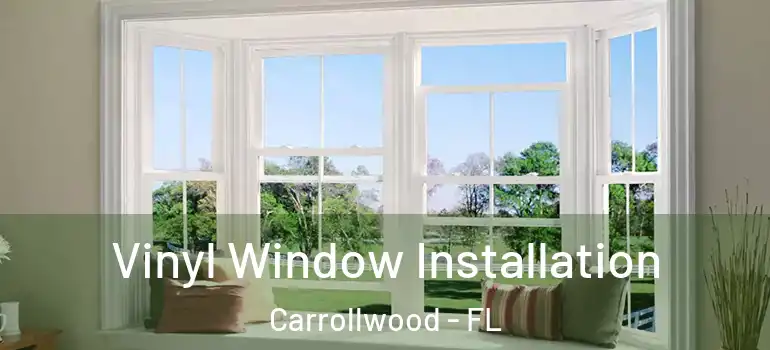  Vinyl Window Installation Carrollwood - FL