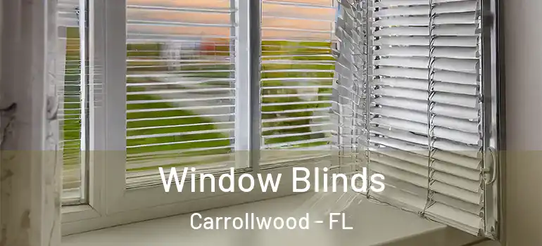  Window Blinds Carrollwood - FL