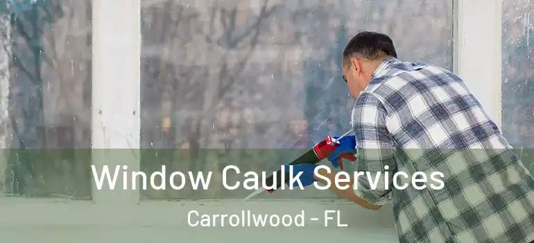  Window Caulk Services Carrollwood - FL