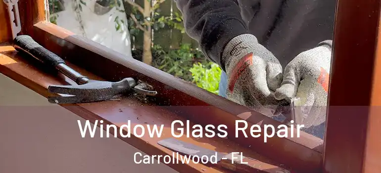  Window Glass Repair Carrollwood - FL