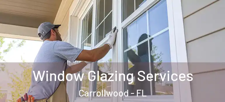  Window Glazing Services Carrollwood - FL